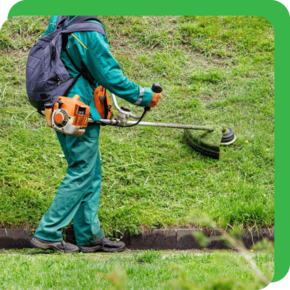Serviços Empresariais - Serviços de Jardinagem - Grupo Vitta Facitilies Services